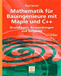 Mathematik für Bauingenieure mit Maple und C++, m. CD-ROM